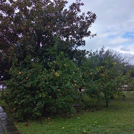 Villa Pellicano -Il Nido Castellammare di Stabia Exteriér fotografie